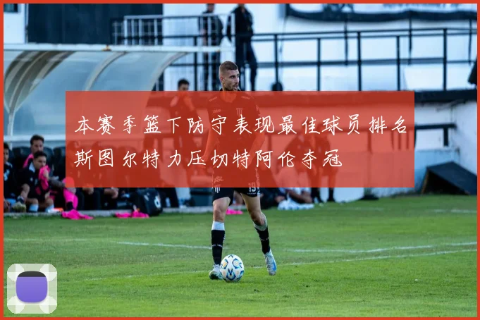 本赛季篮下防守表现最佳球员排名斯图尔特力压切特阿伦夺冠
