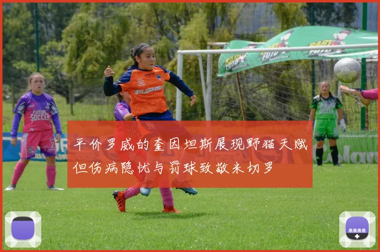 平价罗威的奎因坦斯展现野猫天赋但伤病隐忧与罚球致敬米切罗
